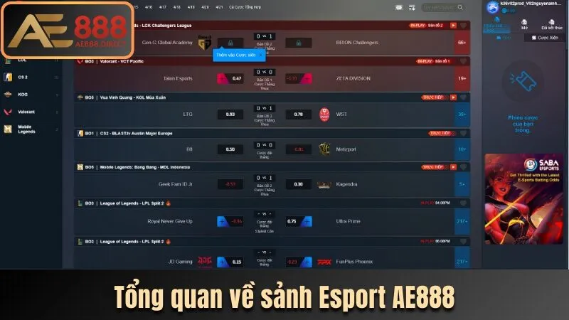 Giới thiệu về sảnh game Esport AE888