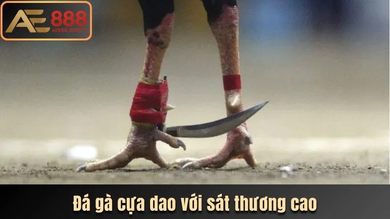 Hình thức đá gà cựa dao với sát thương cao