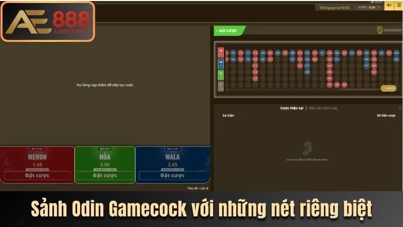 Sảnh Odin Gamecock với những nét riêng biệt