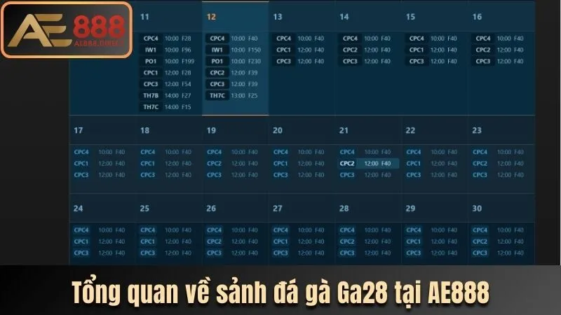 Tổng quan về sảnh đá gà Ga28 tại AE888